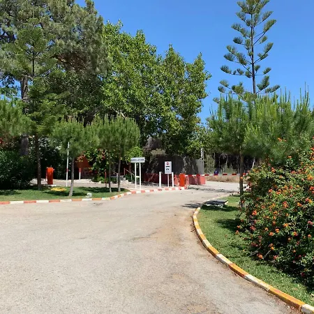 La Buganvilla