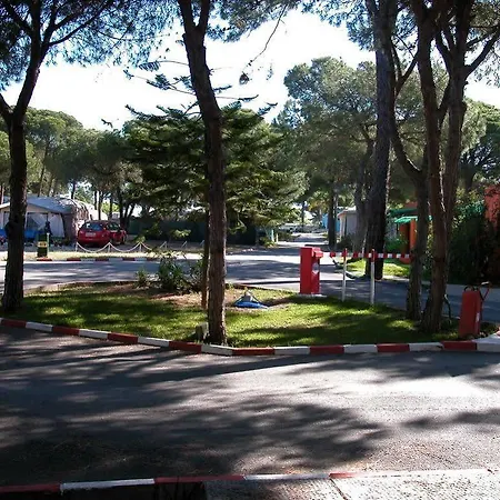 La Buganvilla 2* Marbella