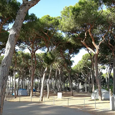 Campsite La Buganvilla Marbella
