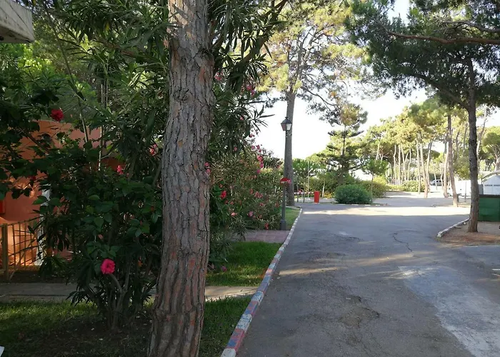 La Buganvilla Marbella