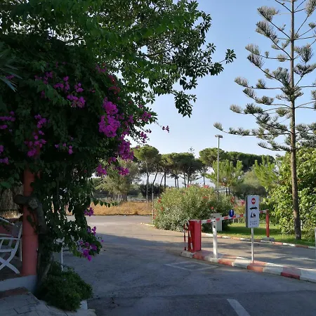 אתר קמפינג La Buganvilla מארבלה