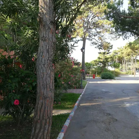 La Buganvilla מארבלה