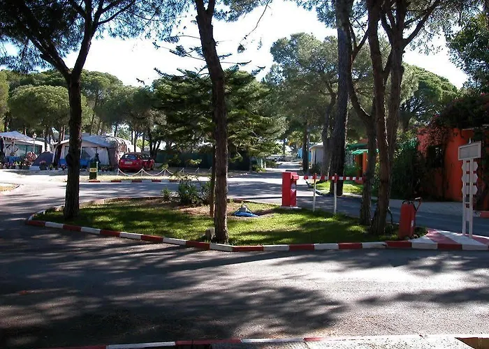 La Buganvilla 2* מארבלה